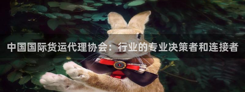 k豆钱包最新下载：中国国际货运代理协会：行业的专业决策者