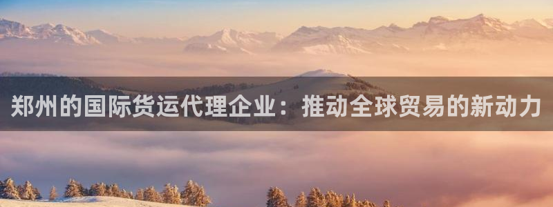 k d豆钱包：郑州的国际货运代理企业：推动全球贸易的新动