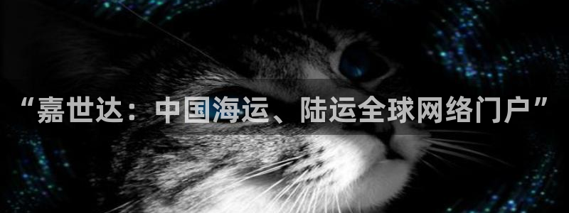 k豆钱包正规吗：“嘉世达：中国海运、陆运全球网络门户”