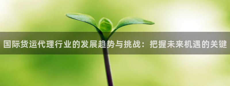 k豆钱包卖豆太难了：国际货运代理行业的发展趋势与挑战：把