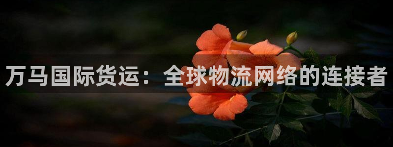 365钱包k豆钱包：万马国际货运：全球物流网络的连接者