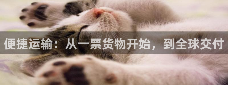 k豆钱包下载苹果：便捷运输：从一票货物开始，到全球交付