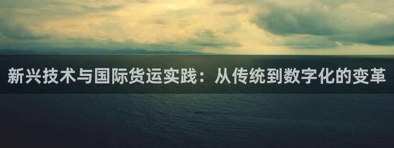 k豆钱包快捷卖豆：新兴技术与国际货运实践：从传统到数字化