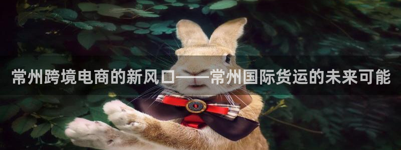 k豆钱包官网平台：常州跨境电商的新风口——常州国际货运的