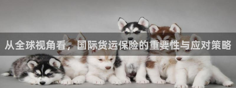 k豆钱包下载安卓：从全球视角看，国际货运保险的重要性与应
