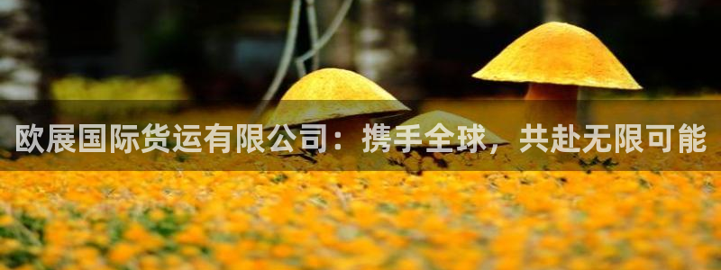 k豆钱包最新版本下载2024：欧展国际货运有限公司：携手