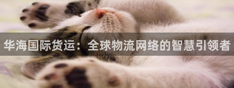 k豆钱包代付：华海国际货运：全球物流网络的智慧引领者