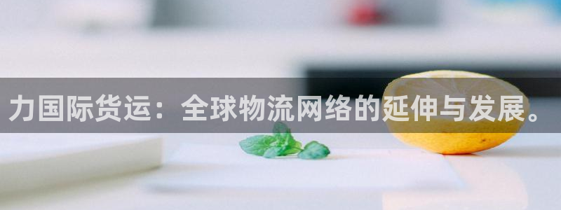 k豆pay钱包：力国际货运：全球物流网络的延伸与发展。