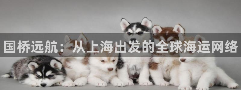 怎么下载k豆钱包app：国桥远航：从上海出发的全球海运网