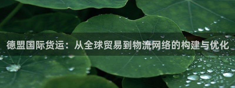 365k豆钱包：德盟国际货运：从全球贸易到物流网络的构建
