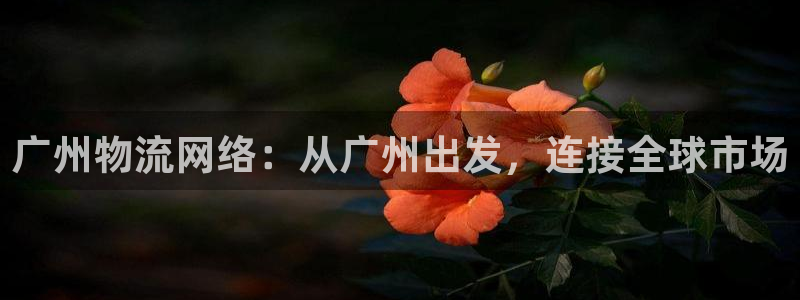 k豆钱包下载安卓：广州物流网络：从广州出发，连接全球市场