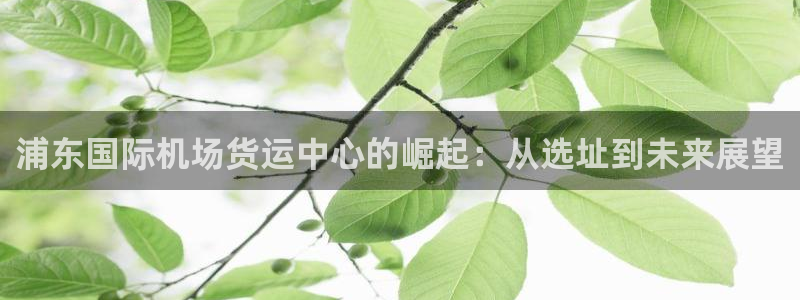 k豆钱包苹果最新版本