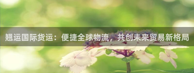 k豆钱包安装包