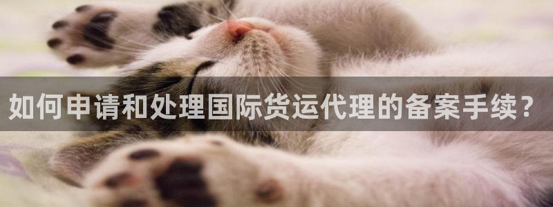 k豆钱包下载不了