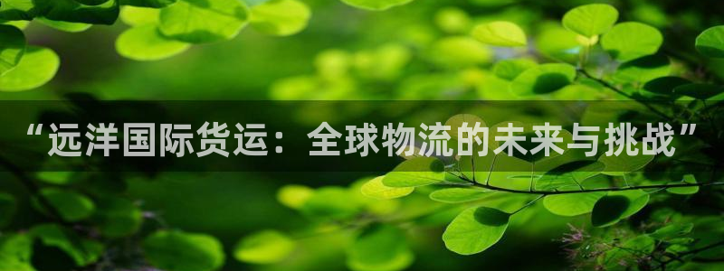 下载k豆钱包安装到手机：“远洋国际货运：全球物流的未来与