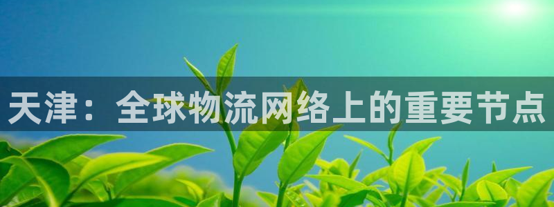 k豆钱包苹果下载：天津：全球物流网络上的重要节点