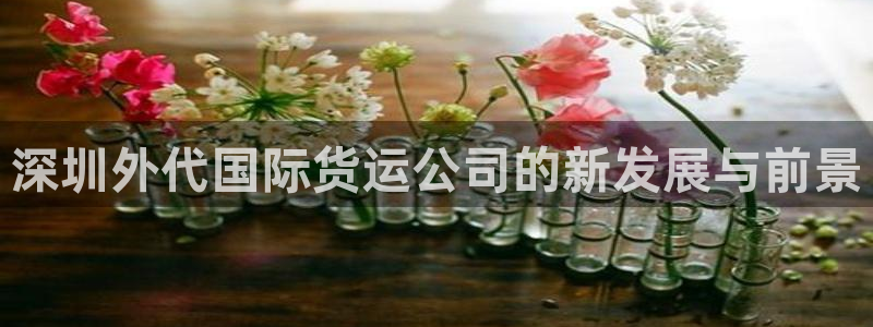365钱包k豆钱包：深圳外代国际货运公司的新发展与前景