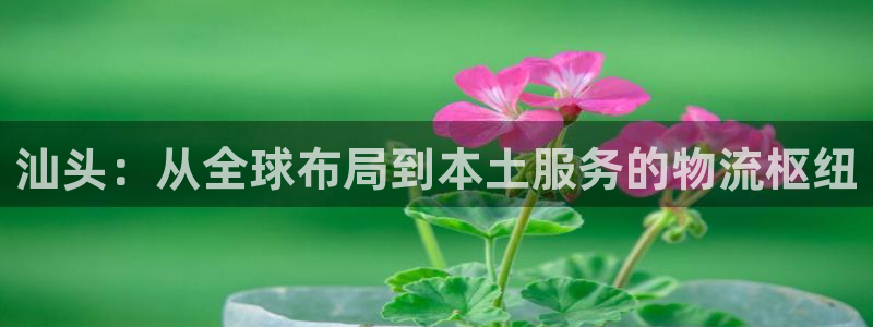 k豆钱包正确下载方式