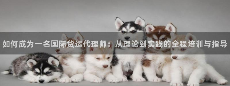 怎么才能下载k豆钱包