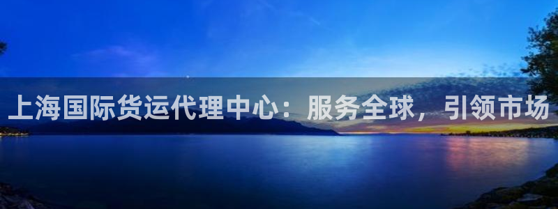 怎么下载k豆钱包：上海国际货运代理中心：服务全球，引领市