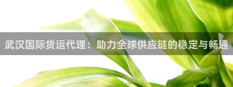 k豆钱包官网入口：武汉国际货运代理：助力全球供应链的稳定