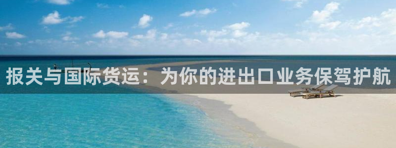 k豆钱包官网地址：报关与国际货运：为你的进出口业务保驾护
