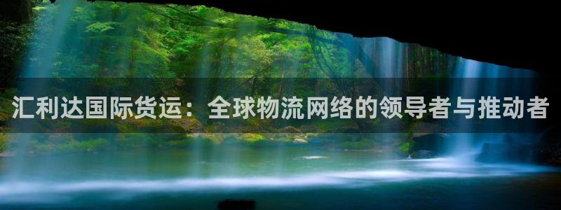 k豆钱包正式版：汇利达国际货运：全球物流网络的领导者与推