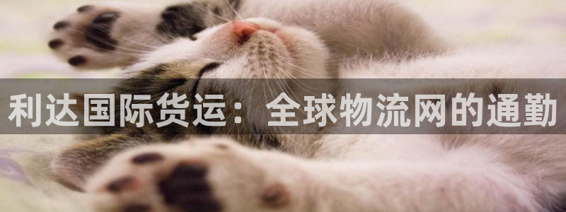 k豆钱包提现：利达国际货运：全球物流网的通勤
