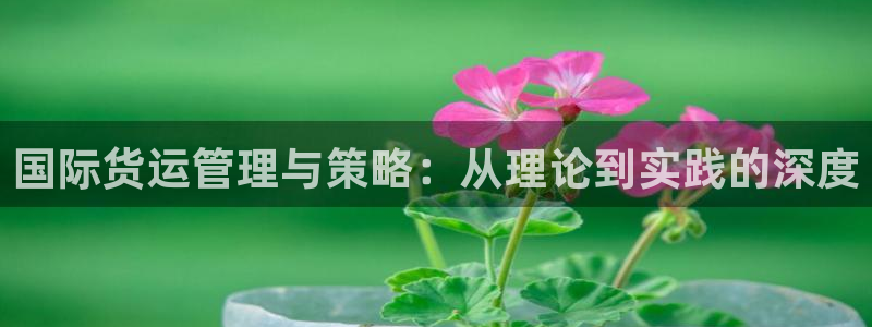 k豆钱包和ag钱包哪个好用
