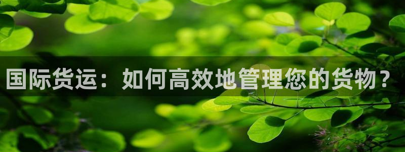 k豆钱包代付