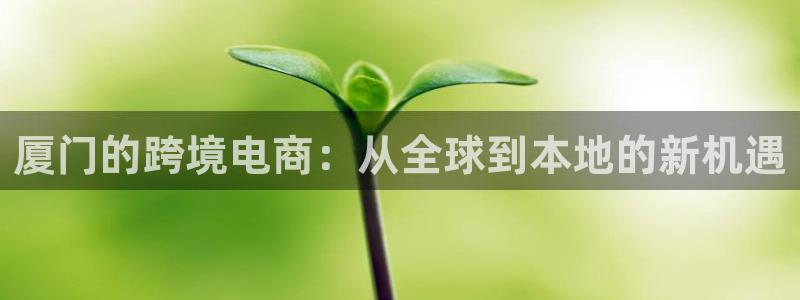 k豆钱包最新版本下载2024：厦门的跨境电商：从全球到本