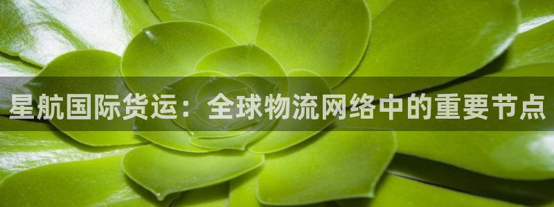 k豆钱包最新版：星航国际货运：全球物流网络中的重要节点
